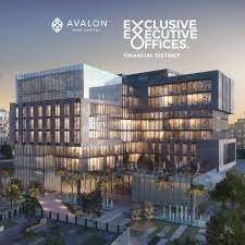 معلومات عن Avalon Mall العاصمة الادارية